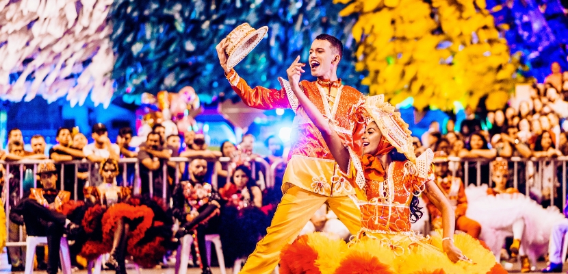 Tours & Activities 3